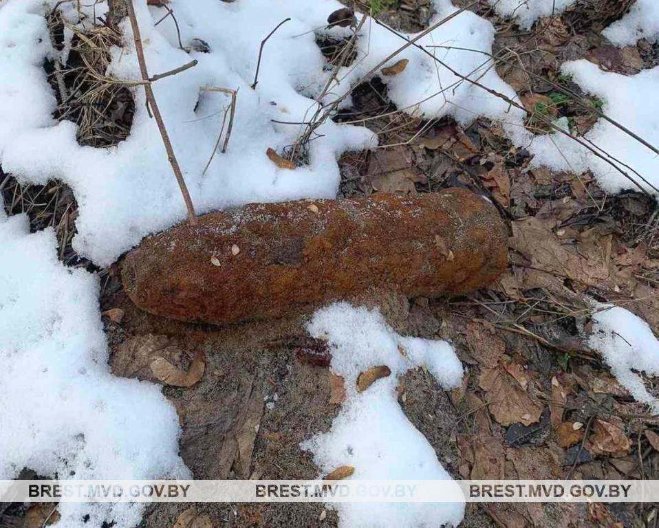 Житель деревни Невель нашел металлический предмет, напоминающий снаряд. Боеприпас сельчанин обнаружил при проведении земляных работ в поле