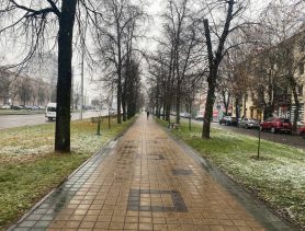 То ли снег, то ли дождь. Какую погоду обещают в Брестской области в середине января?