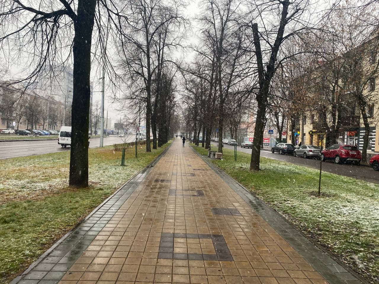 То ли снег, то ли дождь. Какую погоду обещают в Брестской области в середине января?
