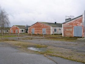 Свинокомплекс в Брестской области продали с аукциона более чем за миллион рублей