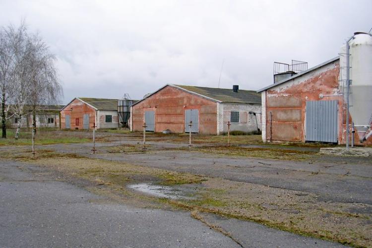 Свинокомплекс возле агрогородка Плотница в Столинском районе продали с аукциона более чем за миллион рублей
