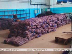 Жителей Брестской области «нагрели» на 200 тонн картофеля