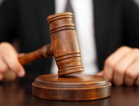 Оштрафовали общественную организацию в Пинске, где учили боевым единоборствам
