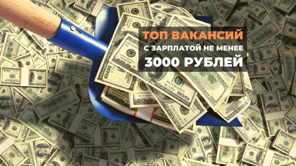 ТОП вакансий в Брестской области с зарплатой не менее 3000 рублей
