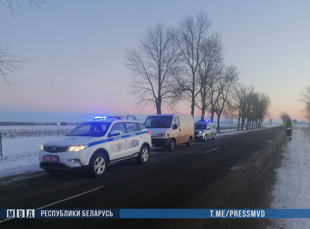 Жителей Ляховичского района задержали на краже рыбы