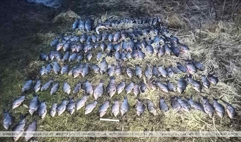 Ловили рыбу сетями: за сутки в Брестской области задержали троих браконьеров