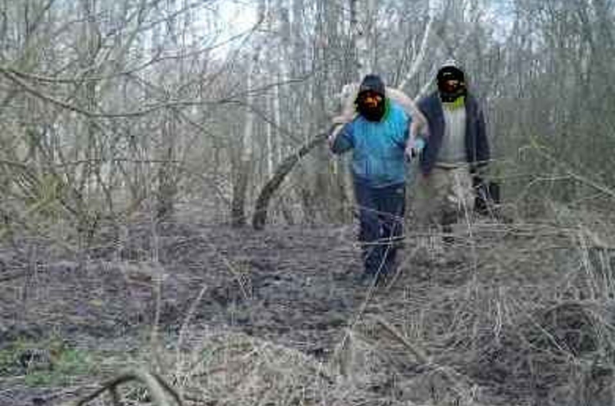 Браконьеры попались в фотоловушку