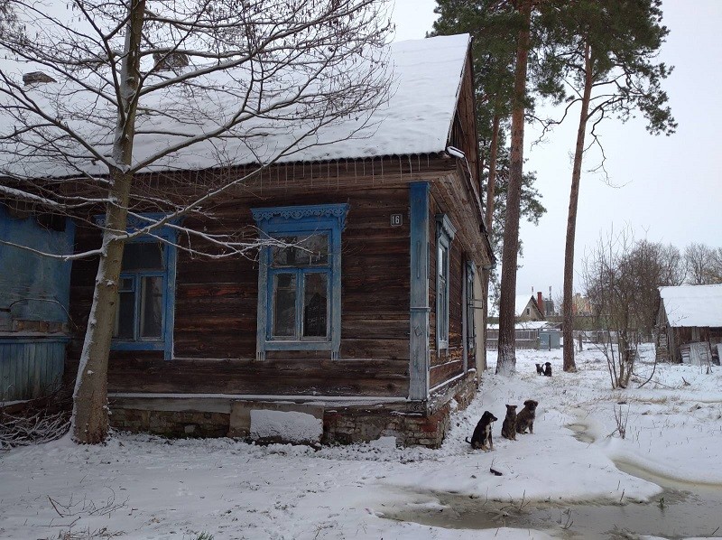 Ганцавічы