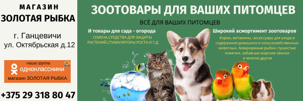 Игривые щенки «отжигают»: первые участники конкурса «Питомцев шалости – для радости!»