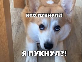 Конфликт дальнольнобойщиков: напарниками больше им не быть…