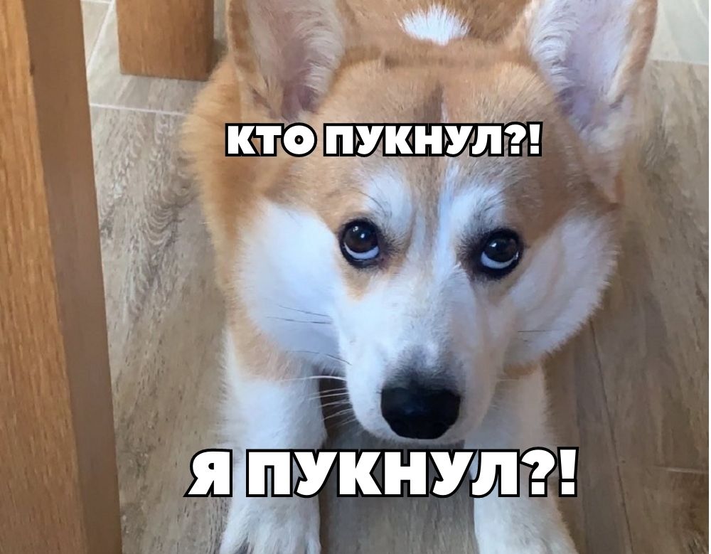 Конфликты бывают и из-за пука...