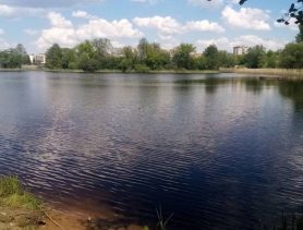 Возле центрального пляжа в Бресте спасли упавшего в воду мужчину