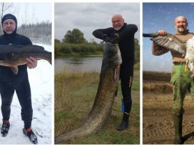 Пінскі паляўнічы-падводнік расказаў пра рэкордных сомаў