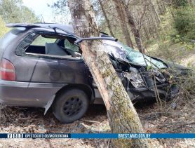 Автомобиль врезался в дерево на дороге в Брестской области