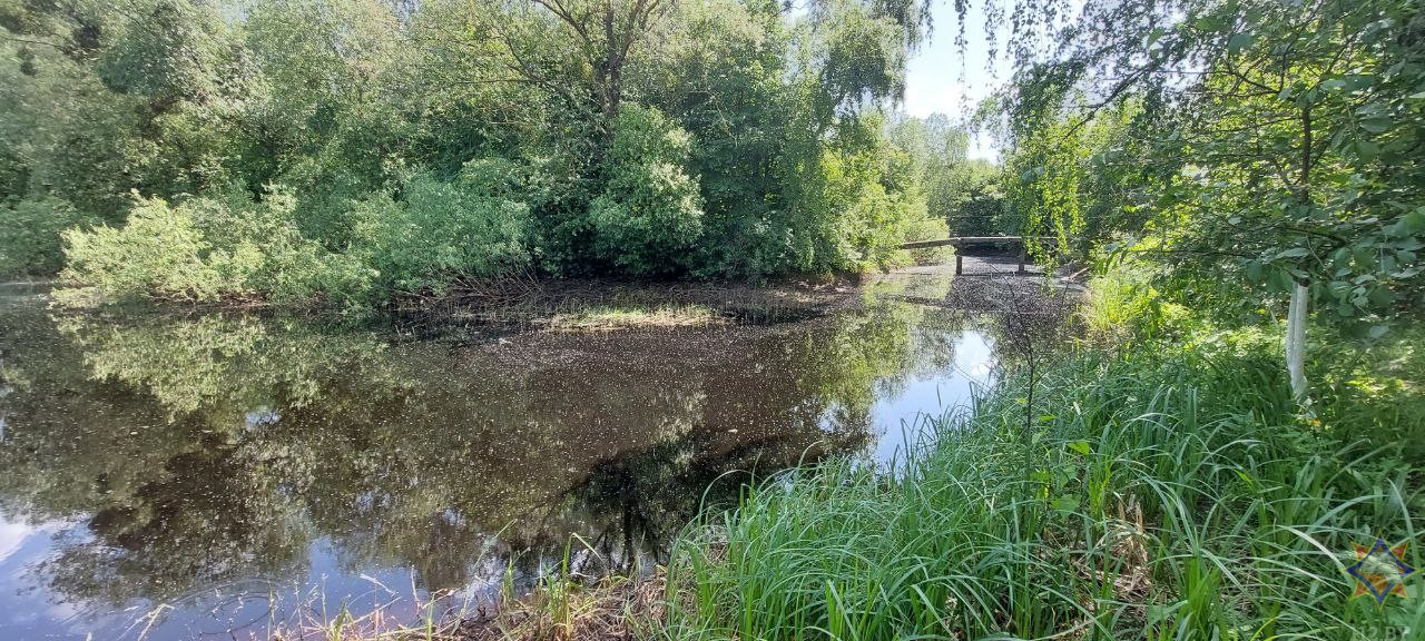 В Пружанском районе спасатели недалеко от берега обнаружили на поверхности воды тело мужчины. 20 мая 2023 года