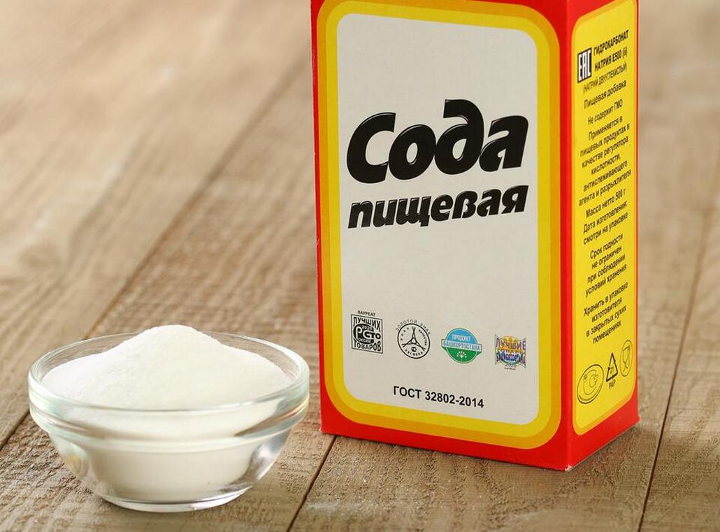Как избавится от муравьёв в доме и на участке народными способами