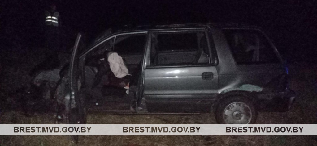 Пьяный бесправник врезался в гужевую повозку в Столинском районе. 18 июня 2023 года


