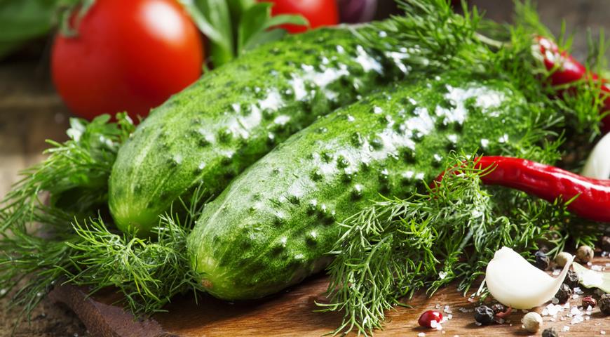 Кулинарные рецепты с огурцами из вашего огорода