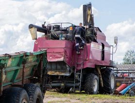 Все равно воруют. Какие есть нарушения в сельском хозяйстве Брестской области?