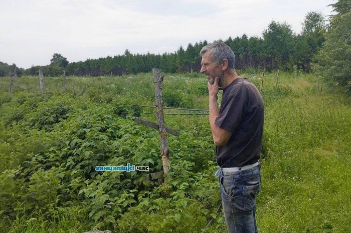 урожай