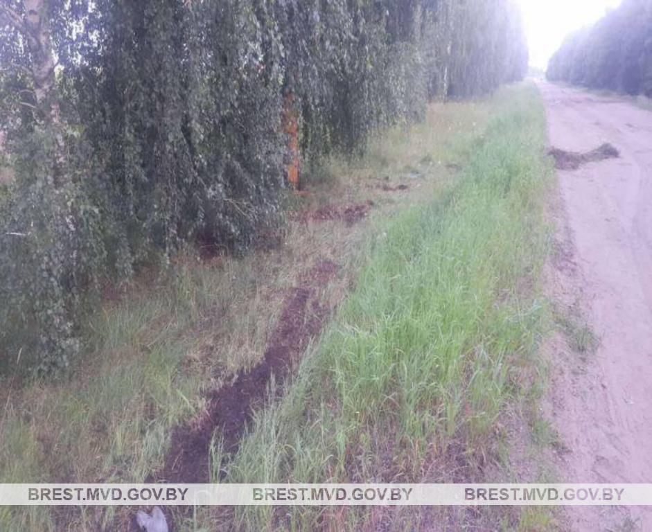 Пьяный водитель врезался в придорожное дерево в Ивановском районе. 29 июля 2023 года