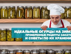 Идеальные огурцы на зиму: проверенные рецепты закаток и советы по хранению