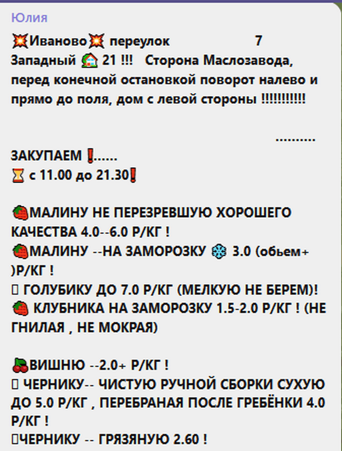 Цена на чернику растет «черепашьим шагом»: по чем ее принимают в Брестской области