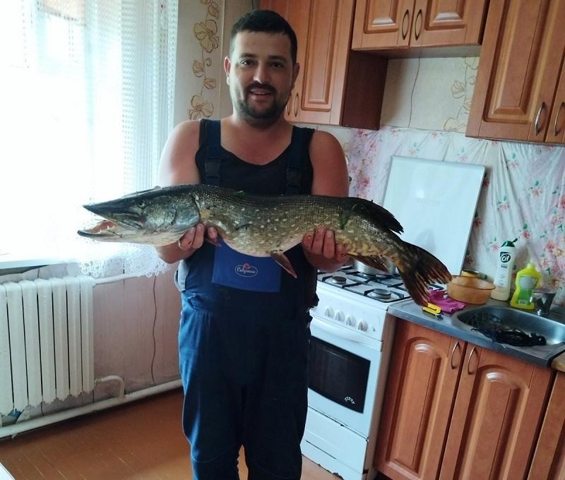щуки рыбалка