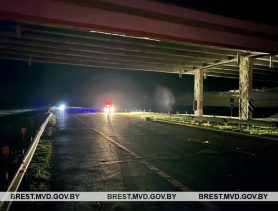 На трассе М1 в Ивацевичском районе погиб пешеход