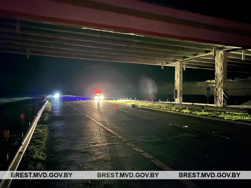 На трассе М1 в Ивацевичском районе погиб пешеход