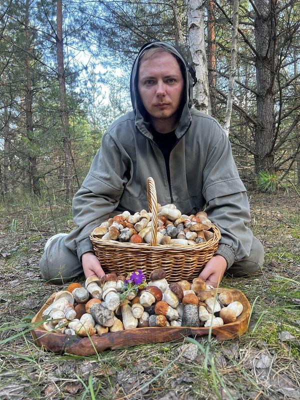 грибы боровики горбацевич