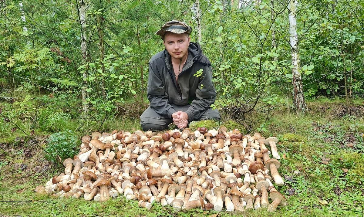Александр Горбацевич – грибник-блогер