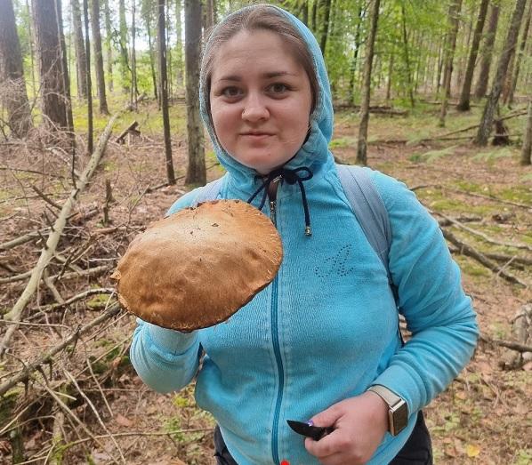 гриб