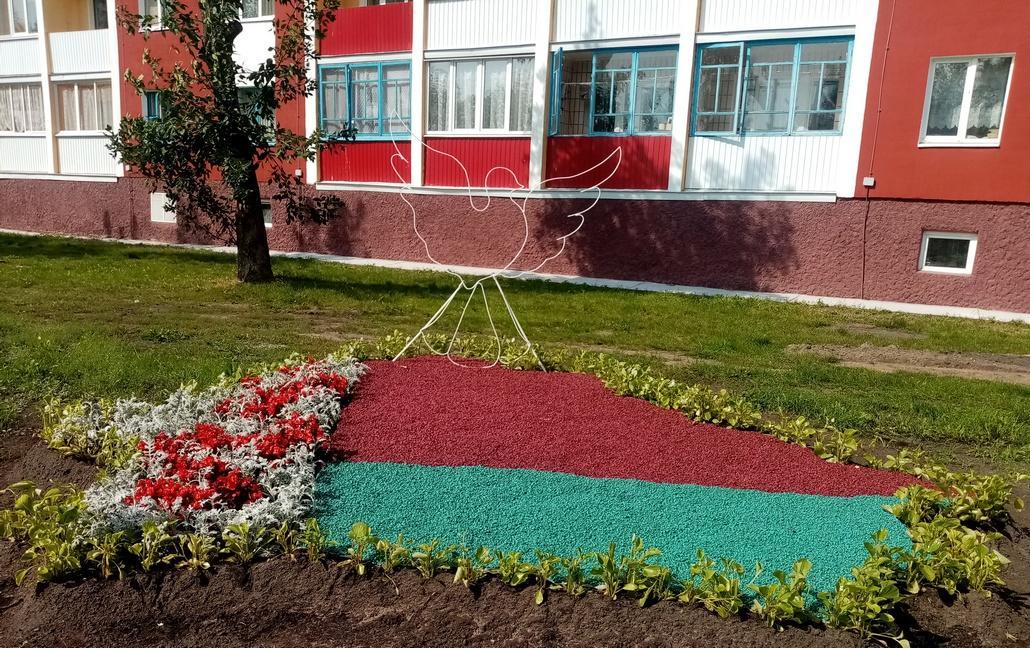 Какую самая красивая клумба появилась к «Дожинкам» в Ганцевичах? Проголосуйте!
