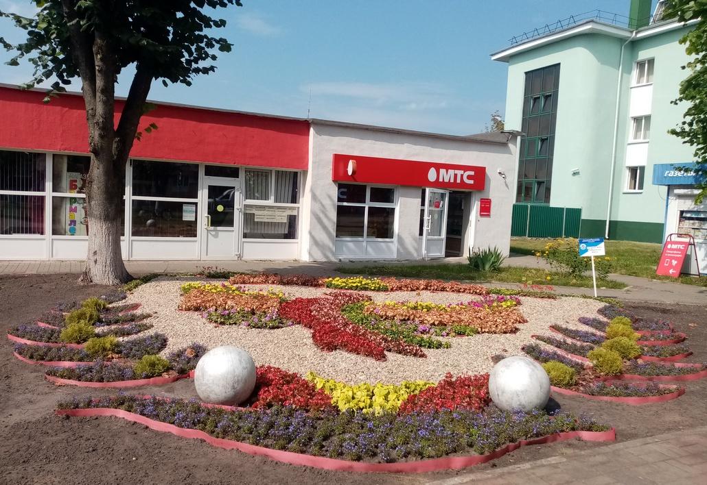 Какую самая красивая клумба появилась к «Дожинкам» в Ганцевичах? Проголосуйте!