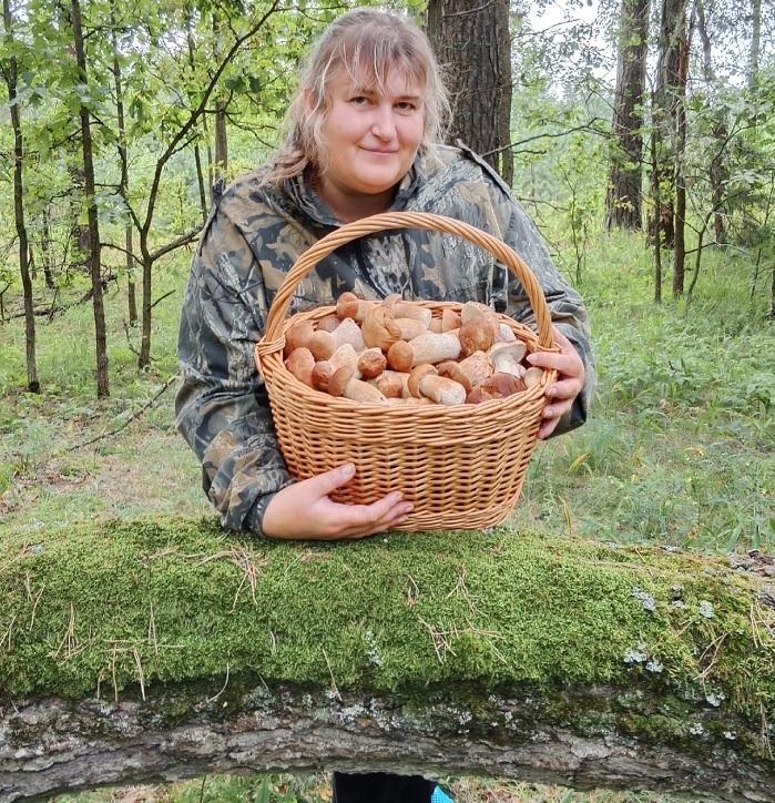 грибы Бобруйск