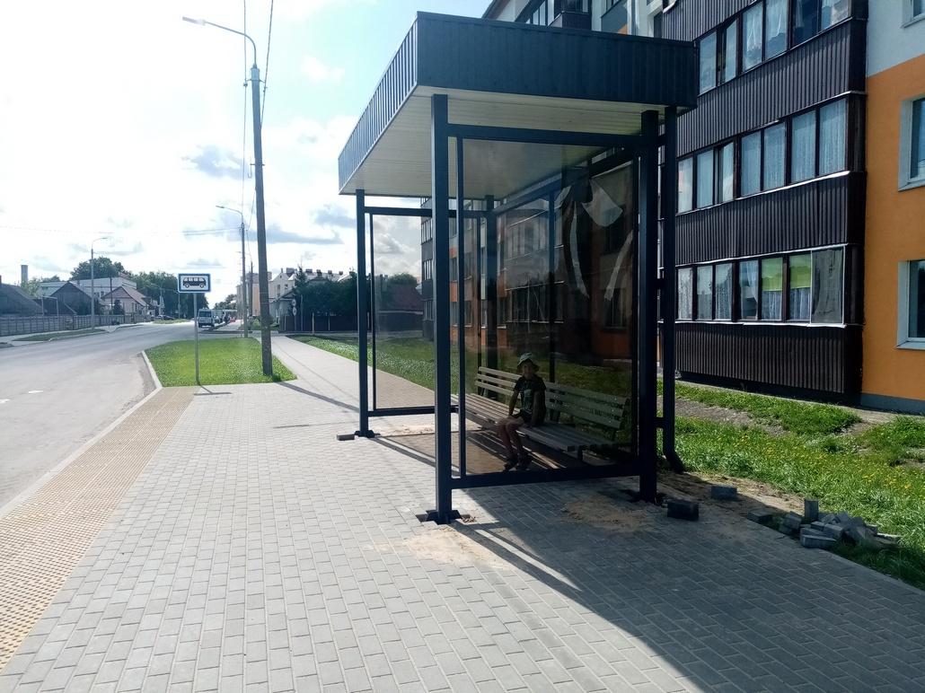 В Ганцевичах детвора поохотилась на зубра