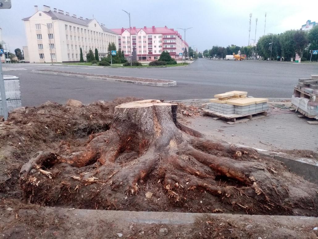 Центр Ганцевичей к «Дожинкам» облысел