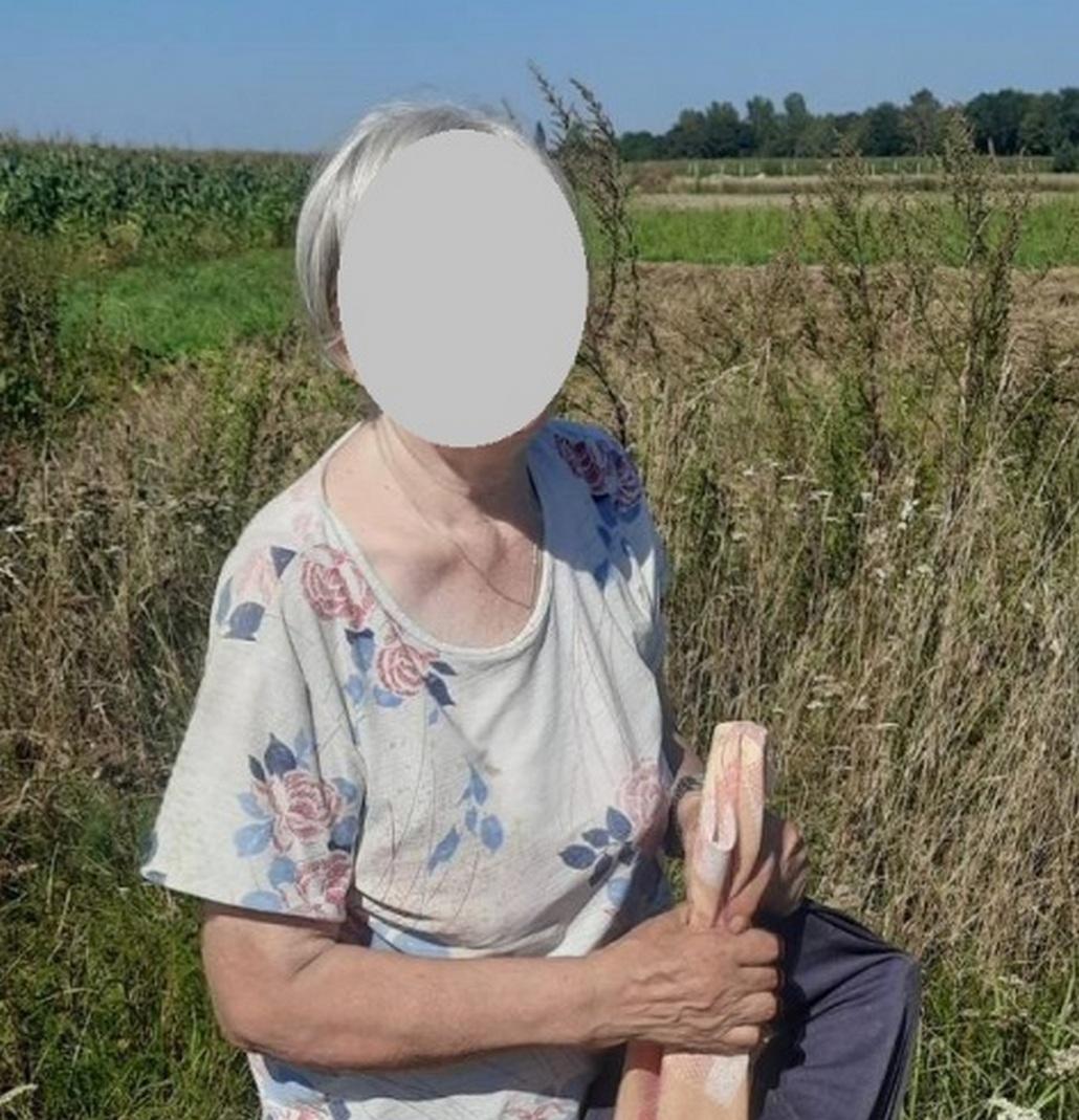Заблудилась в кукурузе: В Брестской области спасатели искали пенсионерку.