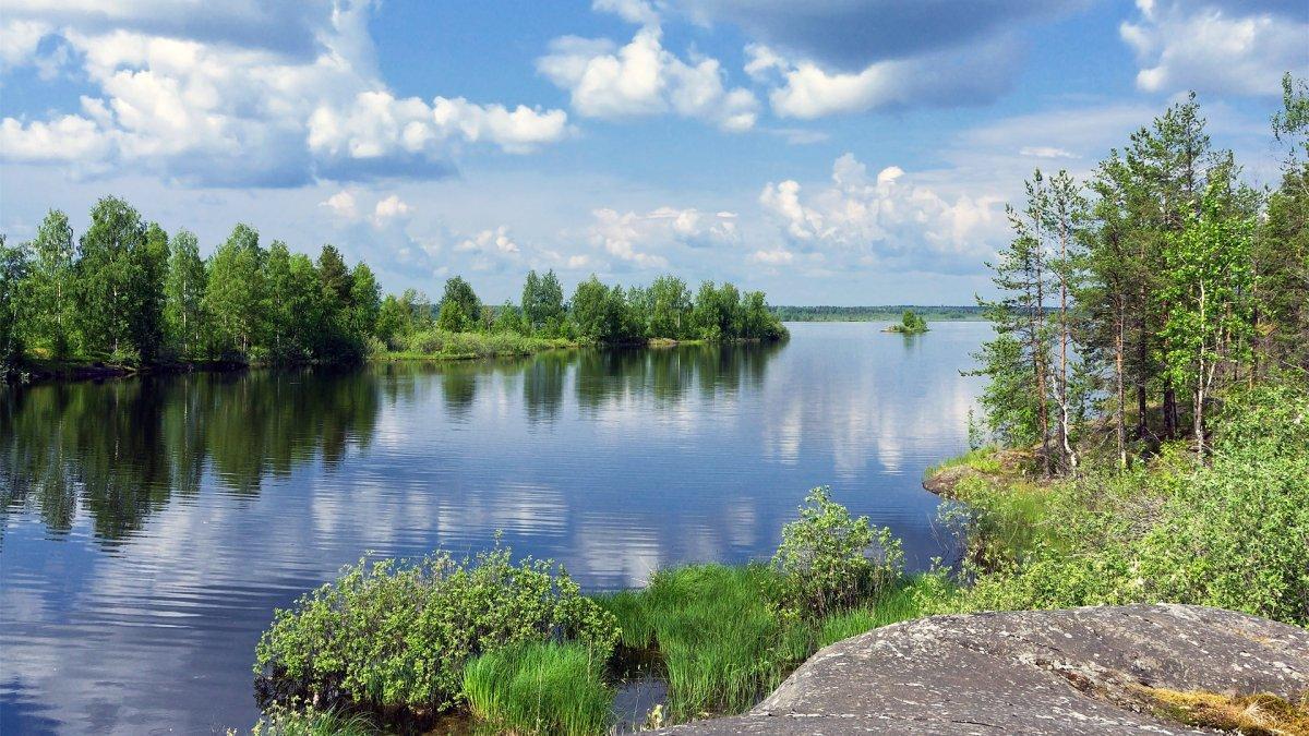 Жара спадет, но не совсем. Какую погоду ожидать на новой неделе?