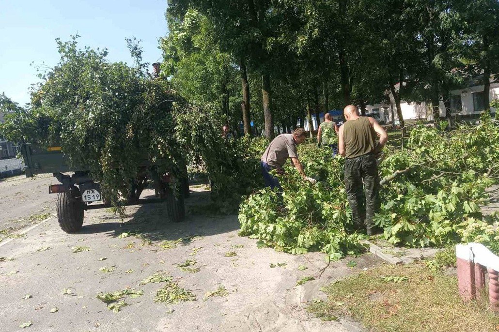 В Антополе Брестской области ураган повырывал деревья и теперь спецслужбы занимаются ликвидацией последствий.