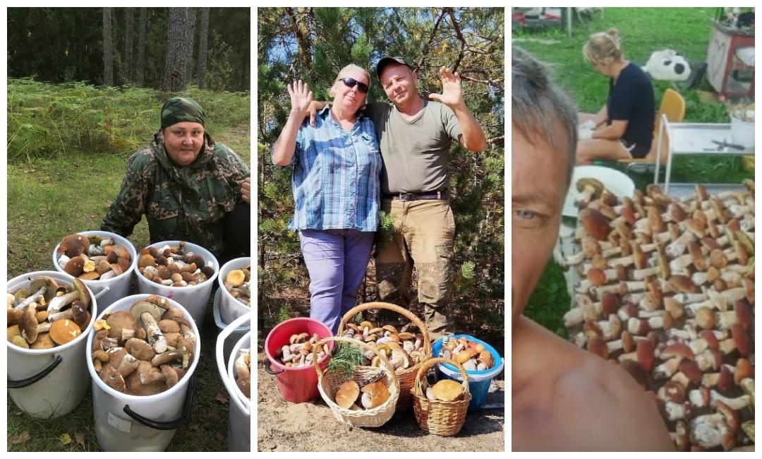 На коллаже слева направо: Галина Игнатович, Россонский район Витебской области; Елена Шехова и Александр Шевцов в Смолевичском районе Минской области; 