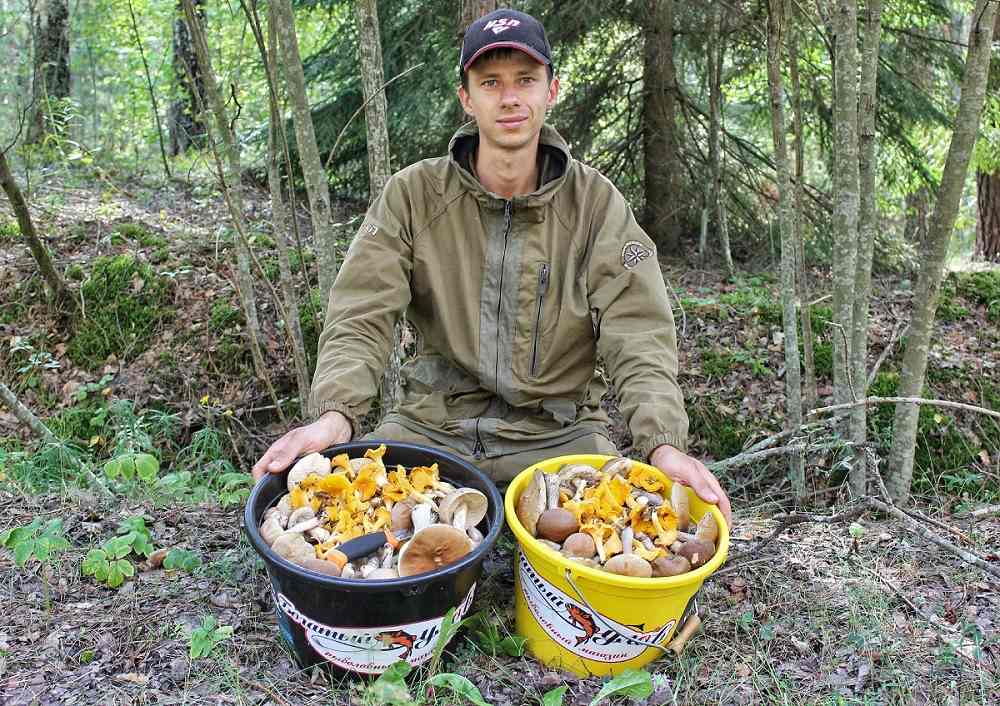 За 5 часов 30 литров грибов собрал 1 сентября Юрий Сидорович в Мядельском районе