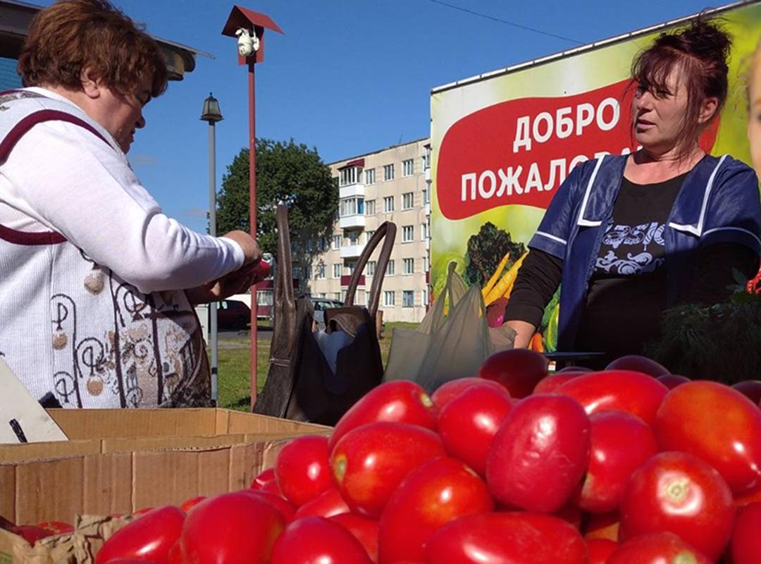 На рынке в Ганцевичах Брестской области в сентябре хорошо покупают томаты.