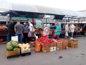 Что подешевело? Цены на рынках в райцентрах Брестской области в начале сентября