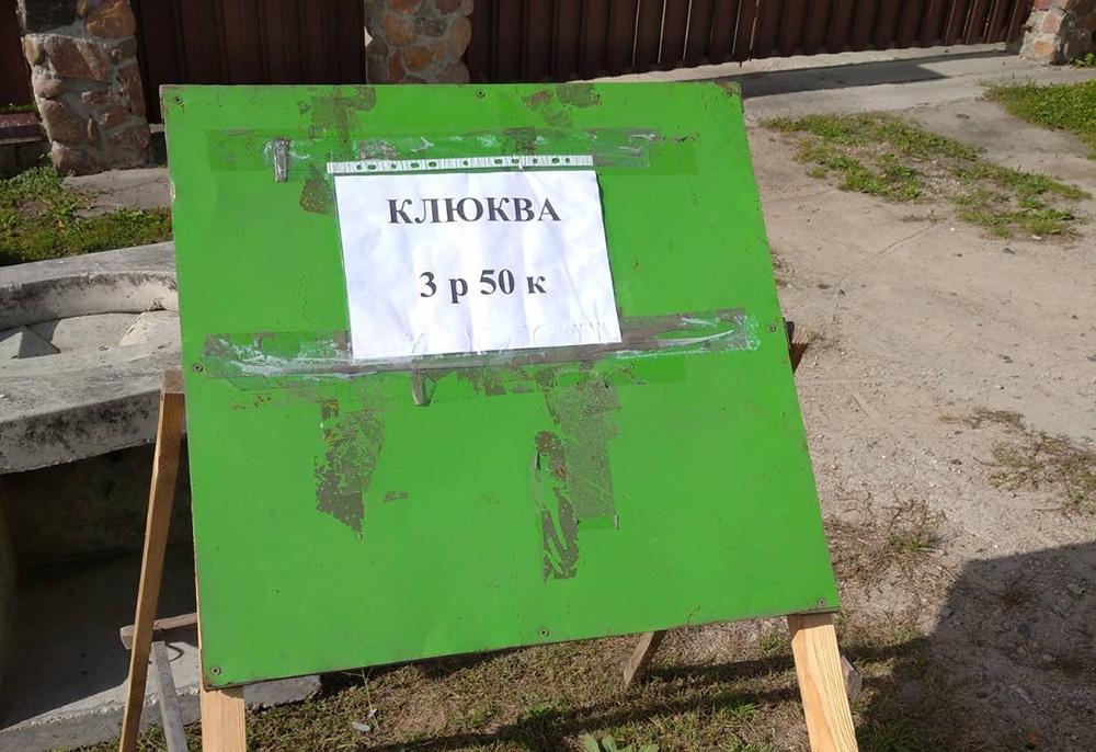 цена