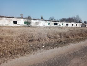 Свиноферма, сельский клуб, гараж, баня. Что покупают на аукционах в Брестской области?