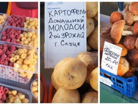 Молодая картошка второго урожая: что почём на минских рынках