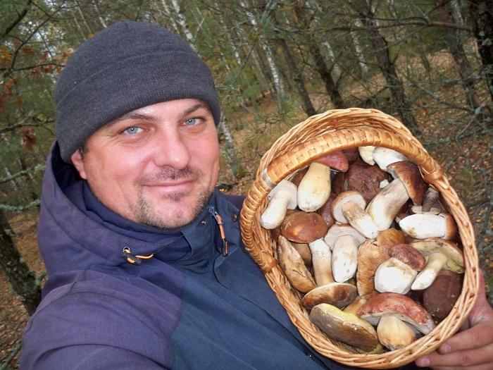грибы