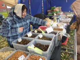По какой цене полезные продукты на ярмарке